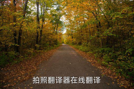 拍照翻譯器在線翻譯