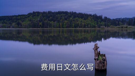 人工費(fèi) 日語(yǔ)，辦公費(fèi)用 日語(yǔ)怎么說