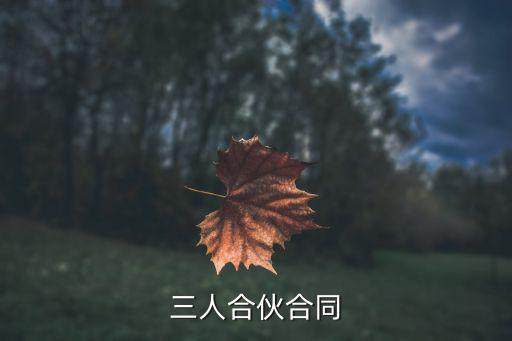 三人合伙合同