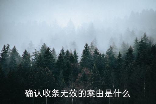 確認(rèn)收條無效的案由是什么