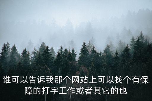 正規(guī)打字接單平臺，打字平臺 最好免費