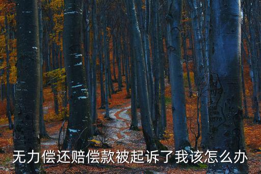 無(wú)力償還賠償款被起訴了我該怎么辦