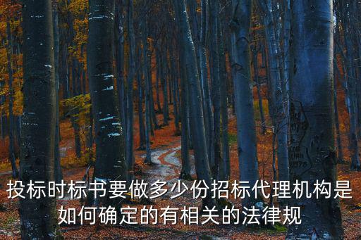 投標(biāo)時(shí)標(biāo)書(shū)要做多少份招標(biāo)代理機(jī)構(gòu)是如何確定的有相關(guān)的法律規(guī)
