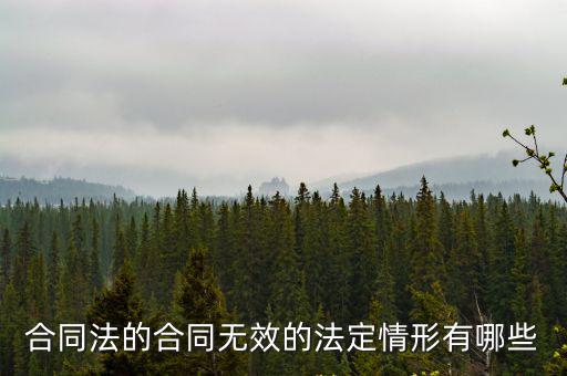 合同法的合同無效的法定情形有哪些