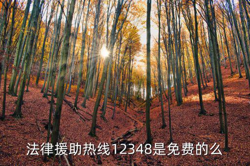 法律援助熱線12348是免費的么