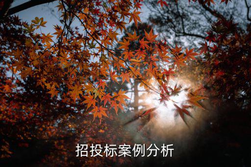 招投標(biāo)案例分析