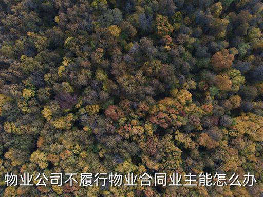 物業(yè)公司不履行物業(yè)合同業(yè)主能怎么辦