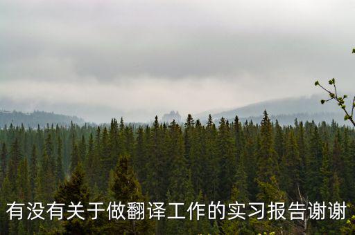 有沒(méi)有關(guān)于做翻譯工作的實(shí)習(xí)報(bào)告謝謝