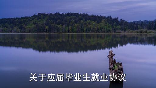 關于應屆畢業(yè)生就業(yè)協(xié)議