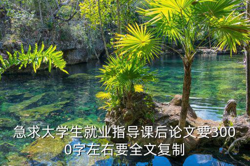 就業(yè)指導論文3000字模板，關于就業(yè)指導的論文