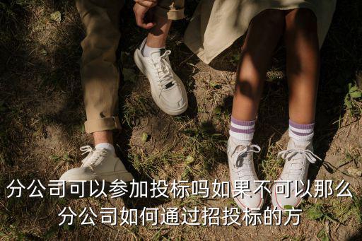 分公司能參與投標(biāo)嗎，建筑施工企業(yè)的 分公司能參加投標(biāo)嗎