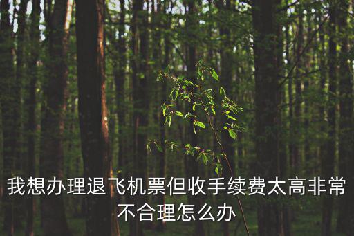 我想辦理退飛機(jī)票但收手續(xù)費(fèi)太高非常不合理怎么辦