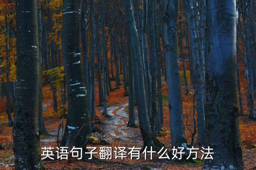 英語句子翻譯有什么好方法