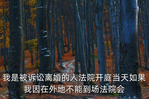 我是被訴訟離婚的人法院開庭當(dāng)天如果我因在外地不能到場法院會