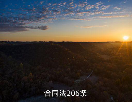 合同法206條規(guī)定的理解，合同法206