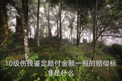 一到十級(jí)傷殘賠償標(biāo)準(zhǔn)，十級(jí)傷殘賠付標(biāo)準(zhǔn)是什么