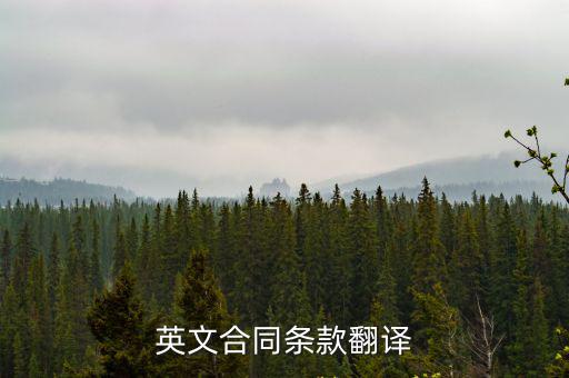 商業(yè)合同 英語翻譯，求高手幫翻譯一句關(guān)于商業(yè)合同的英文