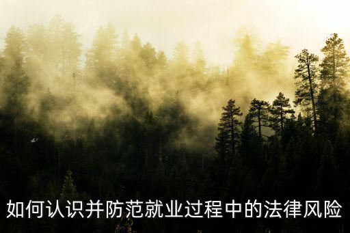 如何認(rèn)識(shí)并防范就業(yè)過(guò)程中的法律風(fēng)險(xiǎn)