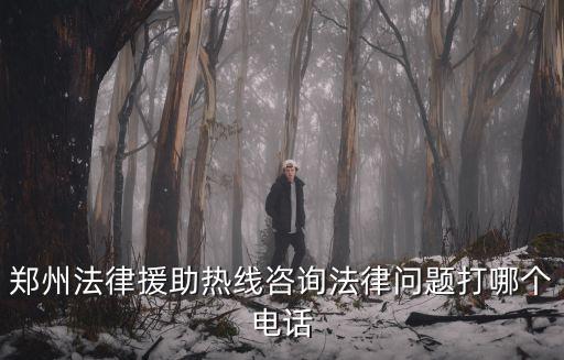 鄭州法律援助熱線咨詢法律問題打哪個電話