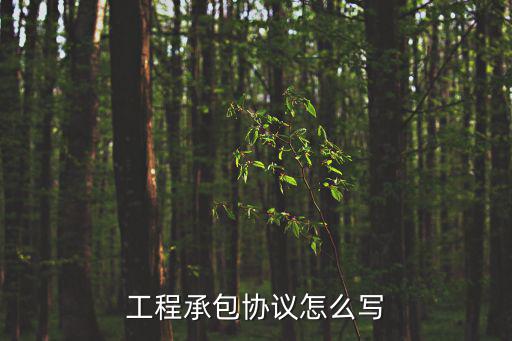 承包工程合作協(xié)議書范本，工程承包合同范本