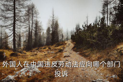 出國勞務(wù)糾紛找哪個部門投訴，出國勞務(wù)究紛找勞務(wù)局還是找商務(wù)局