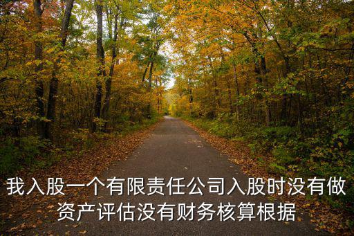 我入股一個有限責(zé)任公司入股時沒有做資產(chǎn)評估沒有財務(wù)核算根據(jù)