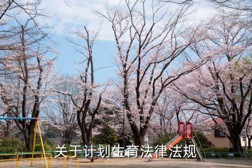 關(guān)于計(jì)劃生育法律法規(guī)