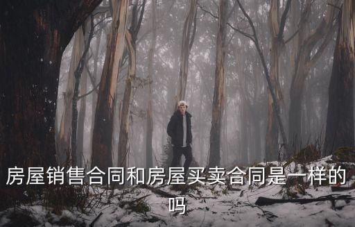 房屋銷售合同和房屋買賣合同是一樣的嗎