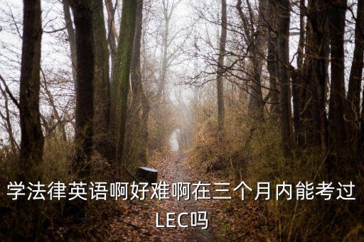 學(xué)法律英語啊好難啊在三個(gè)月內(nèi)能考過LEC嗎