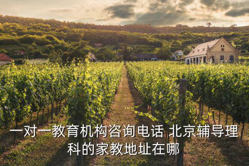 一對一教育機構(gòu)咨詢電話 北京輔導(dǎo)理科的家教地址在哪