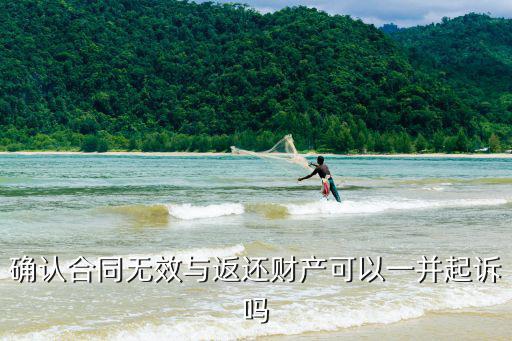 確認(rèn)合同無(wú)效與返還財(cái)產(chǎn)可以一并起訴嗎