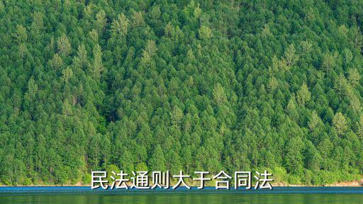 民法典里面有合同法嗎，民法典有規(guī)定嗎商鋪租賃合同最長租期為多少年