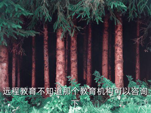 教育機(jī)構(gòu)在線咨詢，一對(duì)一教育機(jī)構(gòu)咨詢電話 北京輔導(dǎo)理科的家教地址在哪