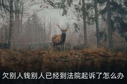 借了私人的錢被起訴了怎么辦，欠別人錢被別人起訴了要怎么挽救