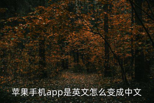 怎么把英文app翻譯成中文版，怎么辦英文版的軟件弄成中文版的