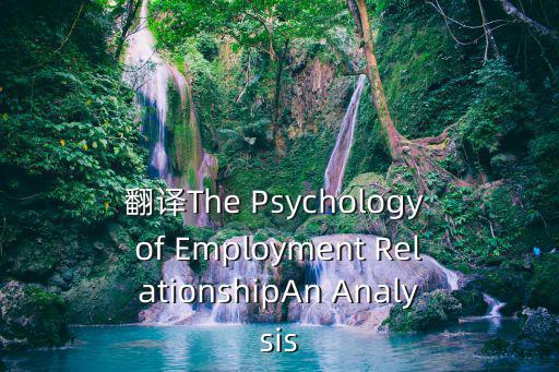 翻譯The Psychology of Employment RelationshipAn Analysis