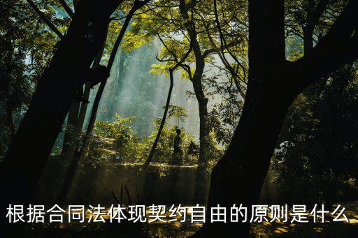 根據(jù)合同法體現(xiàn)契約自由的原則是什么