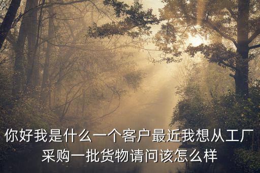 你好我是什么一個(gè)客戶最近我想從工廠采購一批貨物請(qǐng)問該怎么樣