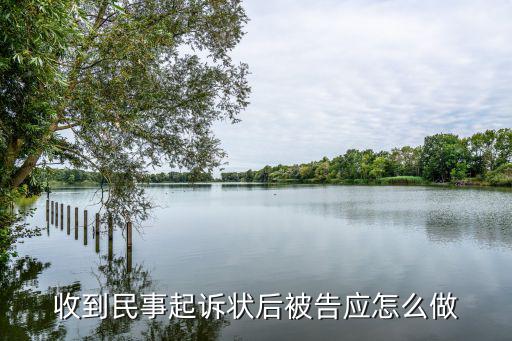 民事訴訟被起訴后被告需要做什么，被告在收到民事起訴狀后可以怎樣做