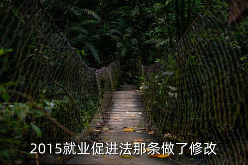 2015就業(yè)促進法那條做了修改