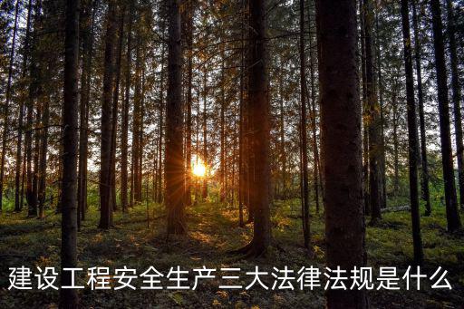 建設工程安全生產(chǎn)三大法律法規(guī)是什么