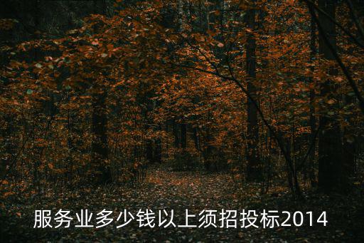 服務(wù)業(yè)多少錢以上須招投標(biāo)2014
