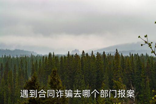 遇到合同詐騙去哪個部門報案