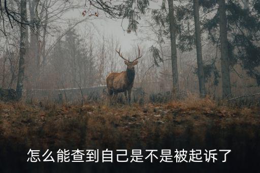 怎么能查到自己是不是被起訴了