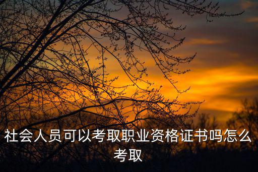 社會(huì)人員可以考律師資格證嗎，社會(huì)人員可以考取職業(yè)資格證書嗎怎么考取