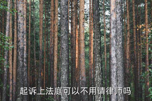 起訴上法庭可以不用請律師嗎