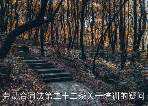 勞動合同法第二十二條關于培訓的疑問
