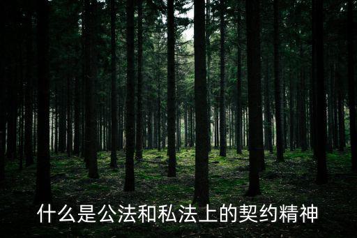 什么是公法和私法上的契約精神