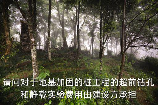請(qǐng)問(wèn)對(duì)于地基加固的樁工程的超前鉆孔和靜載實(shí)驗(yàn)費(fèi)用由建設(shè)方承擔(dān)
