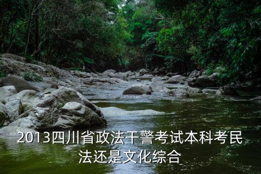 2013四川省政法干警考試本科考民法還是文化綜合